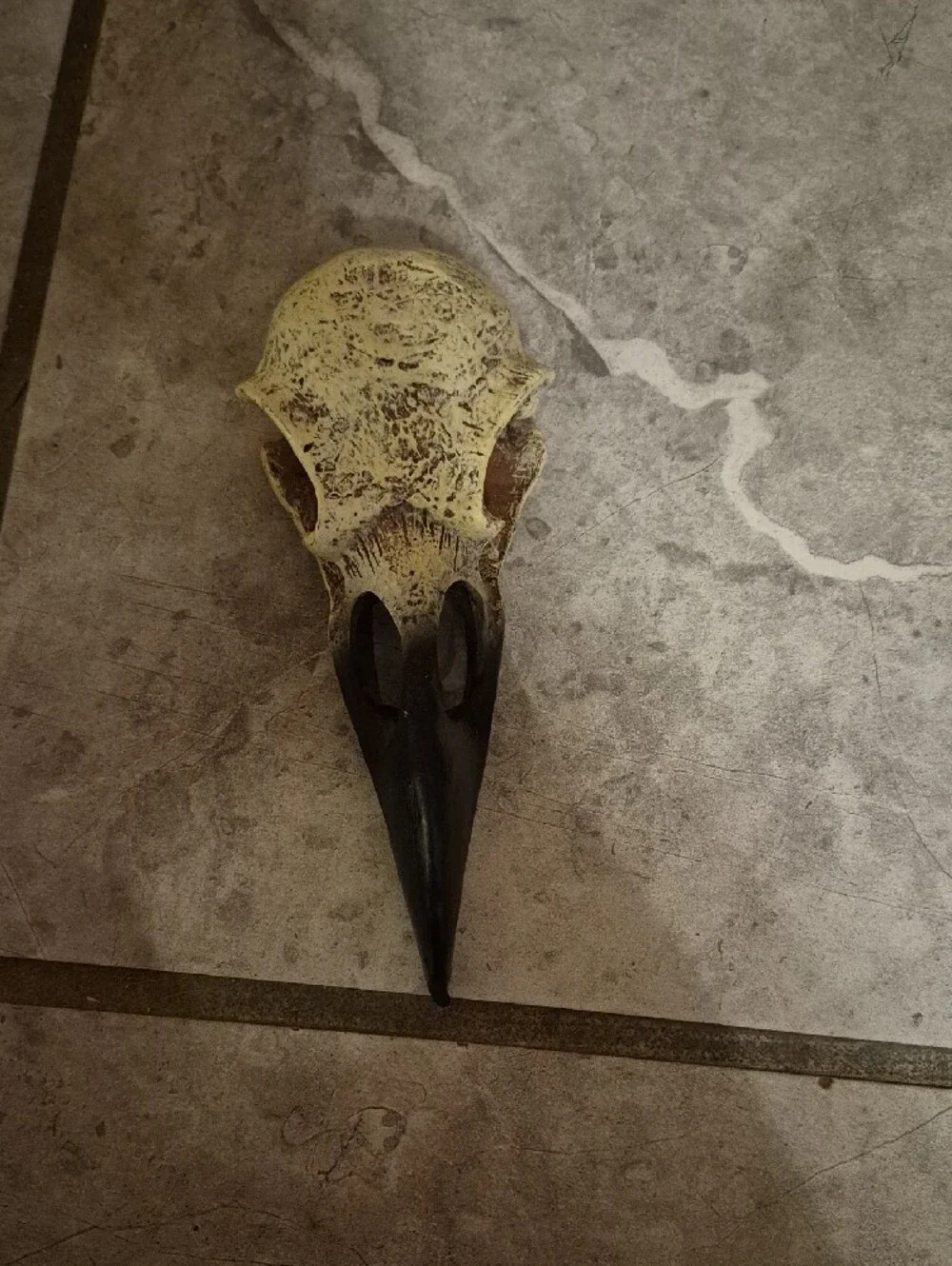 Decorative Raven Skull Prop Resin